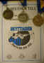 060204LG_Medalj.JPG (145080 byte)